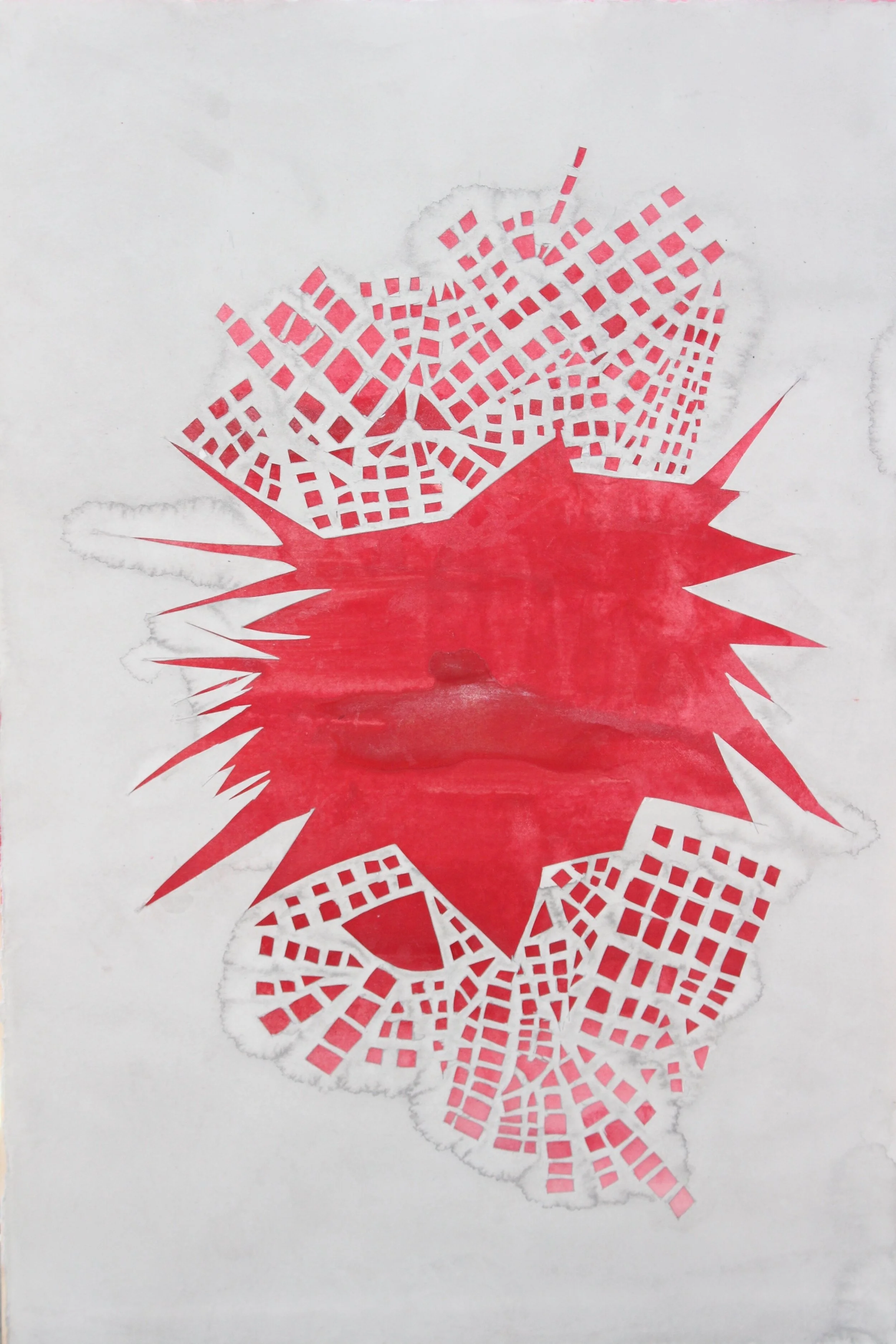 “Atlas of dreams” - A recent publication by artist member, Lydia Nakashima Degarrod