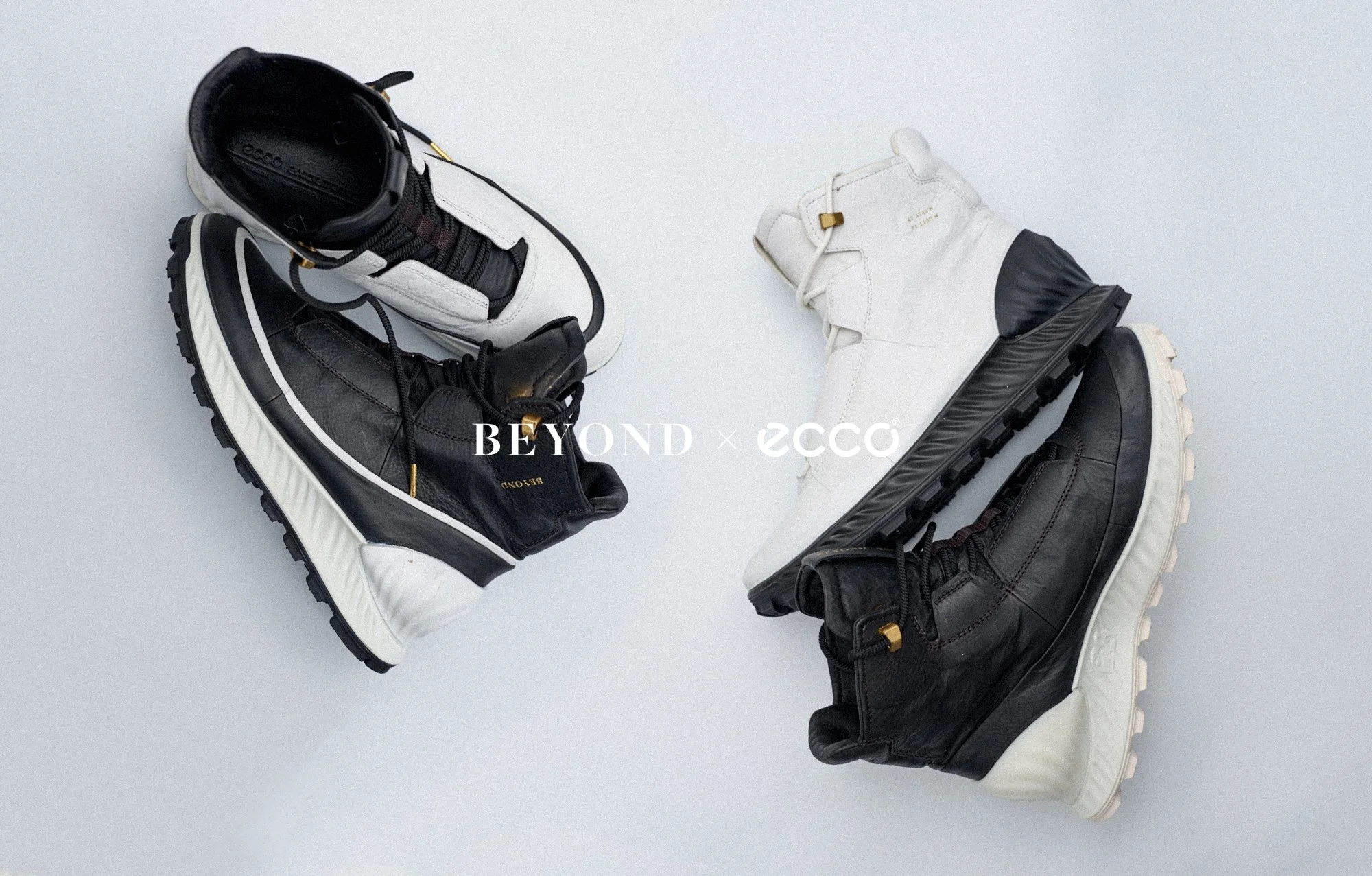 BeyondECCO_CaseStudy_Cover.jpg