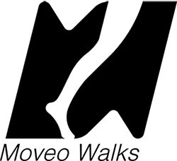 9-moveo-walks.jpg