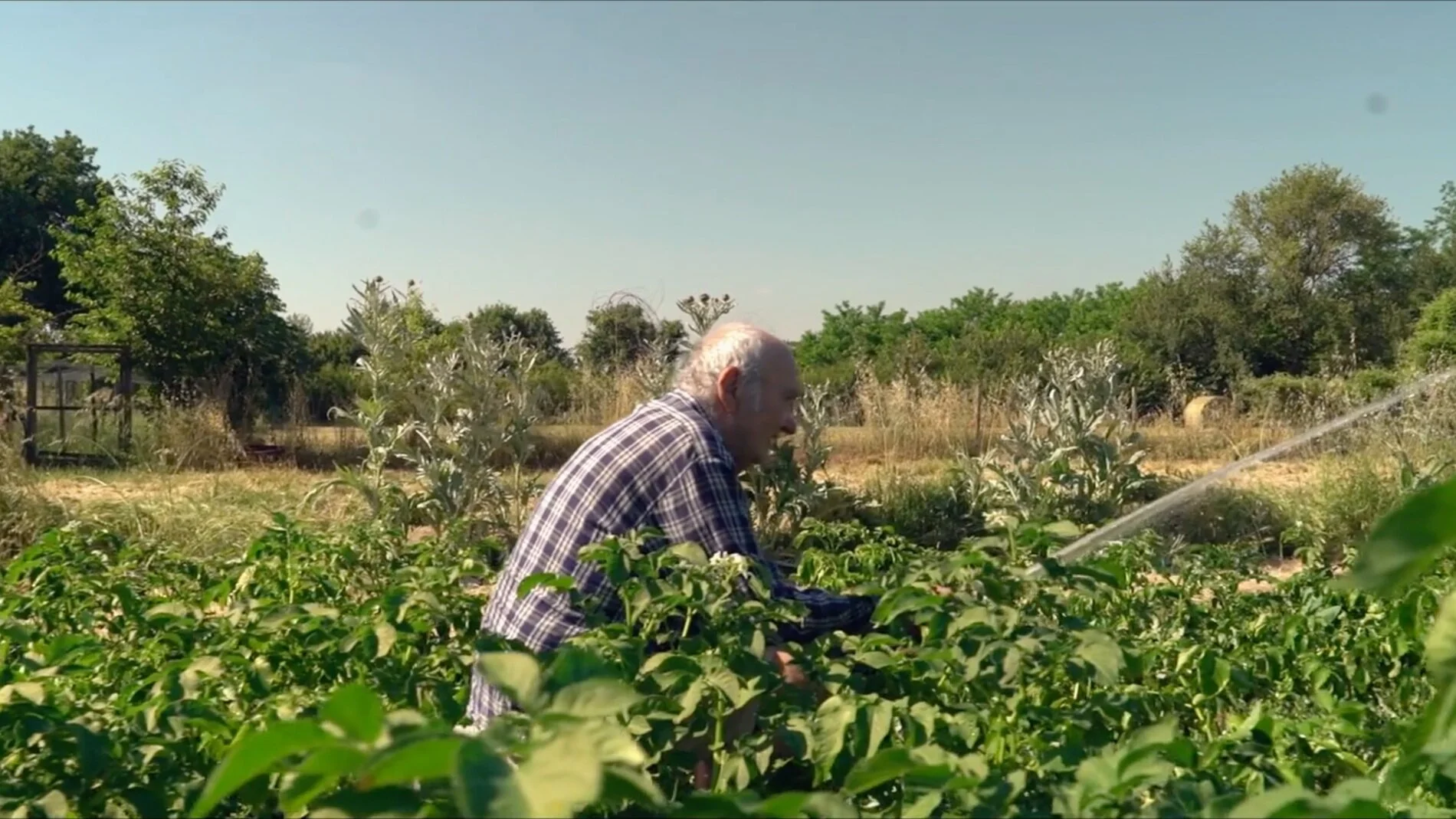 Agriturismo Molinello