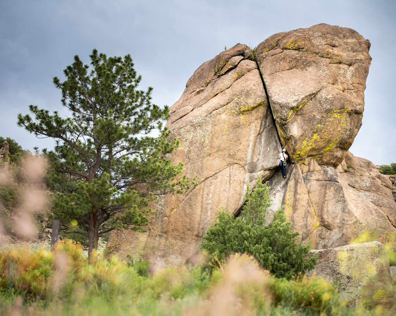 Elephabt Rock Climbing.png