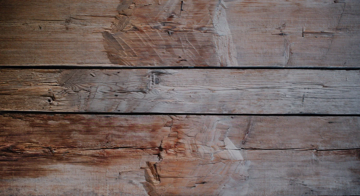 banner5.jpg