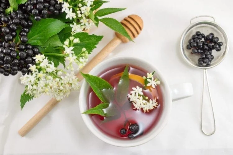 Elderberry Syrup: Why you should take it this winter + Recipes