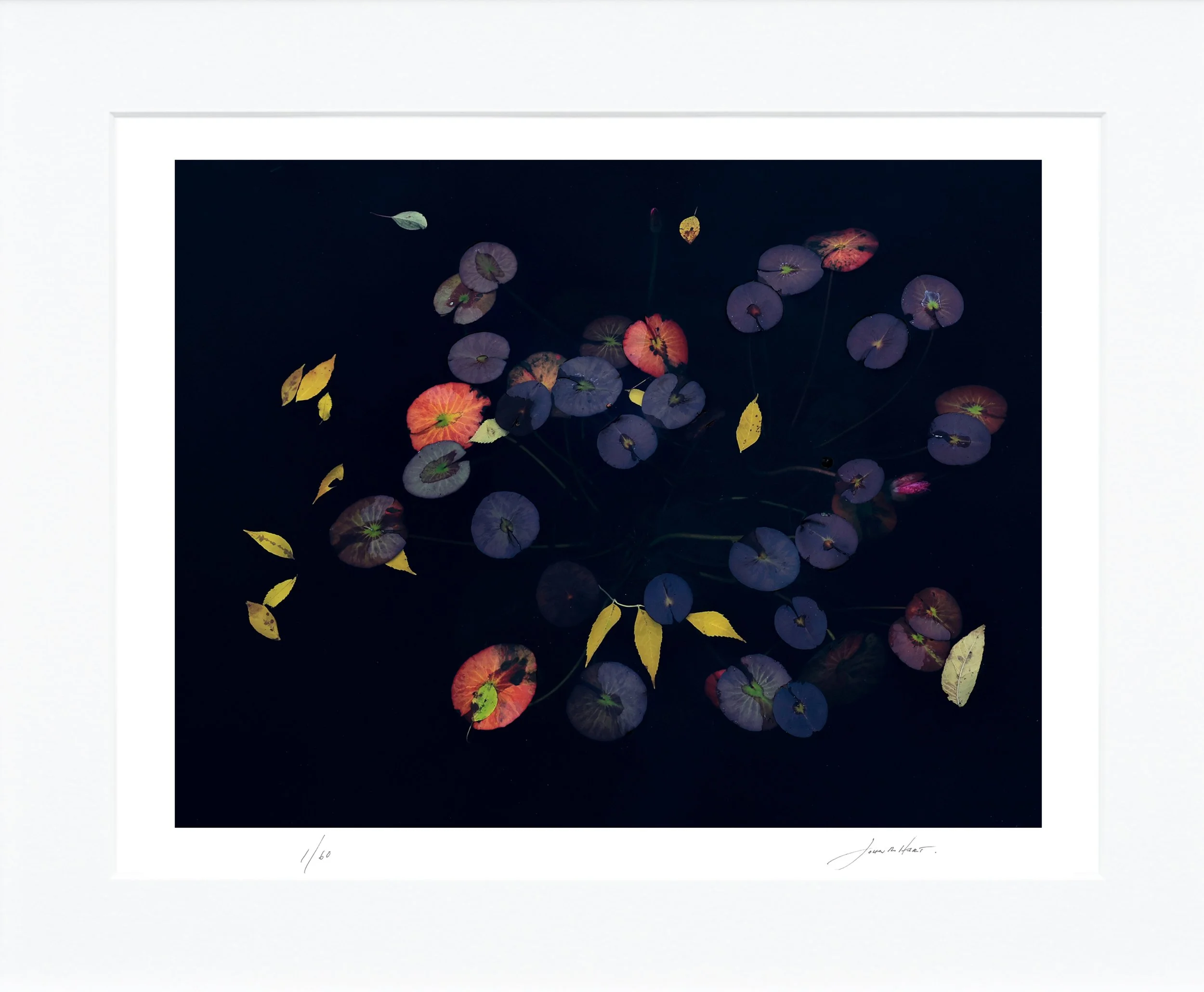 Autumn Lilies mat.jpg