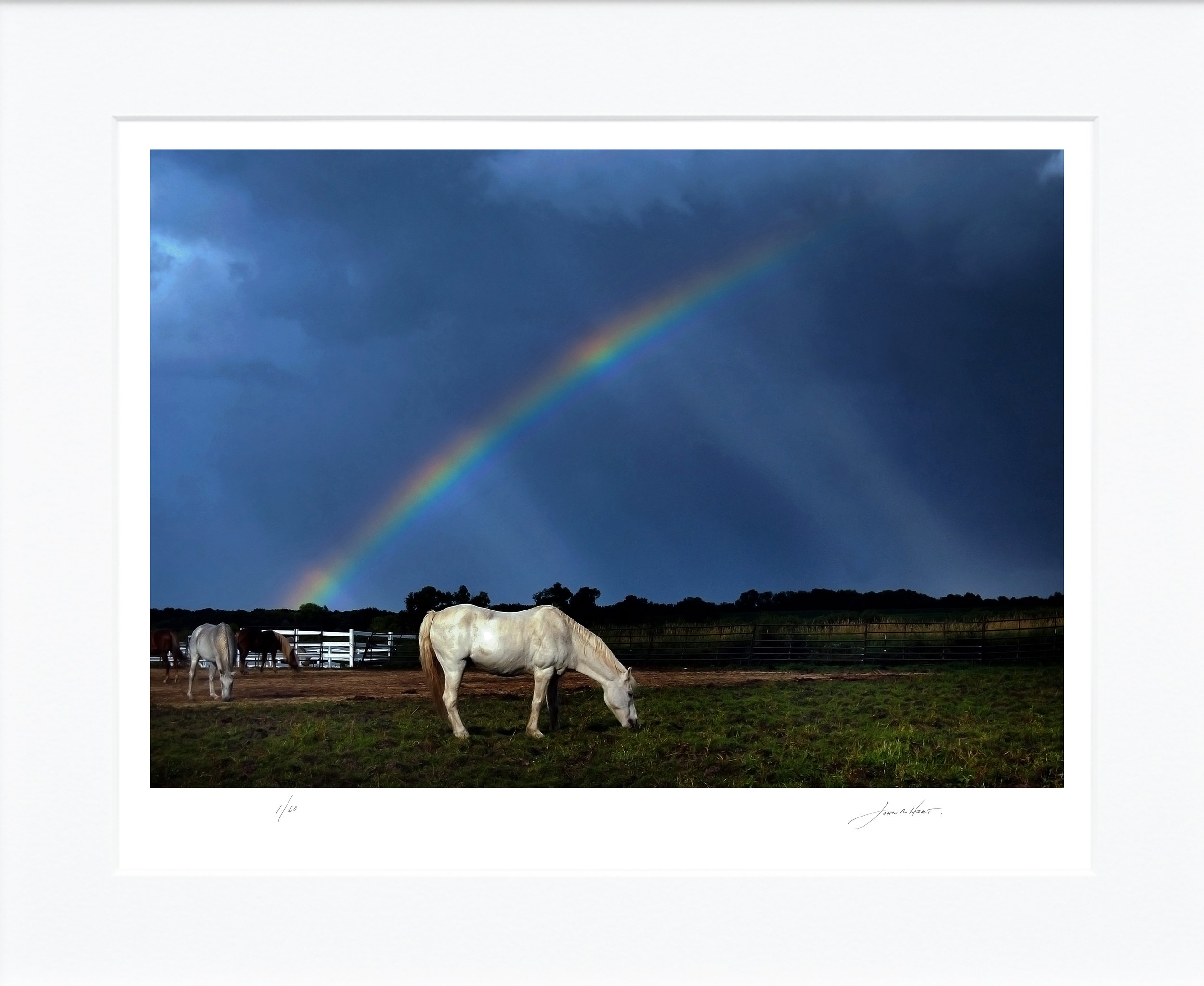 After the Rain mat.jpg
