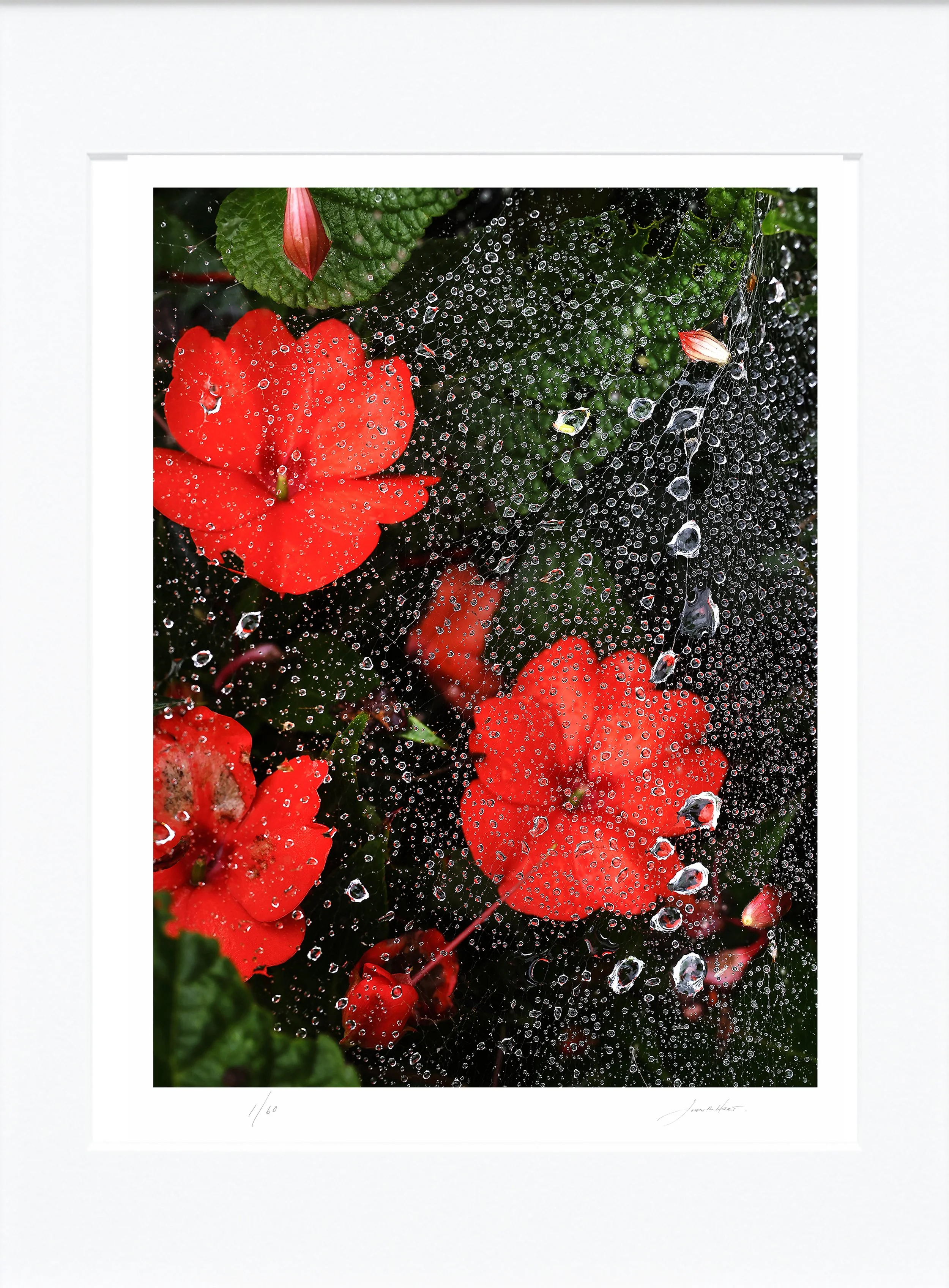 Morning Rain mat.jpg