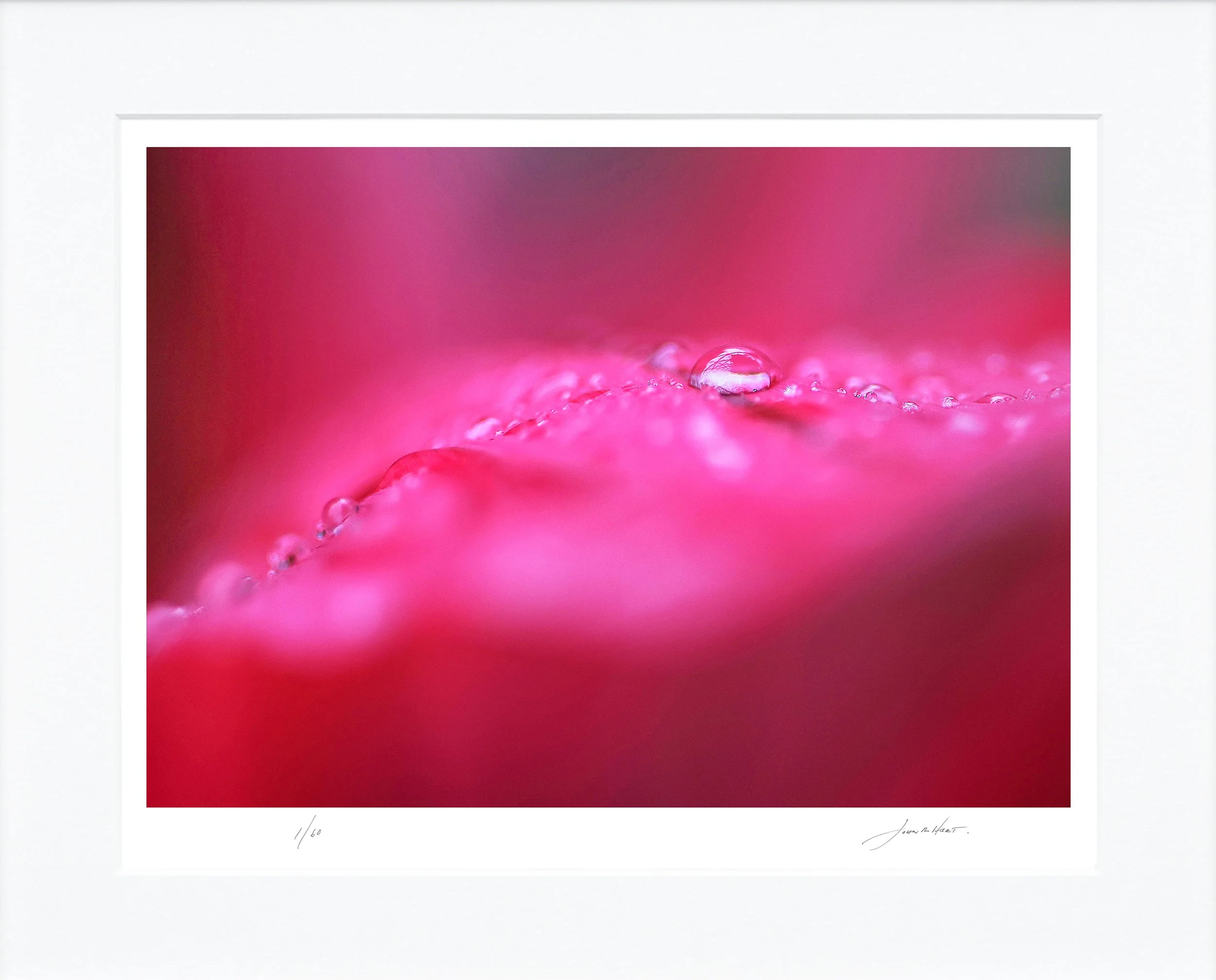 Morning Dew mat.jpg