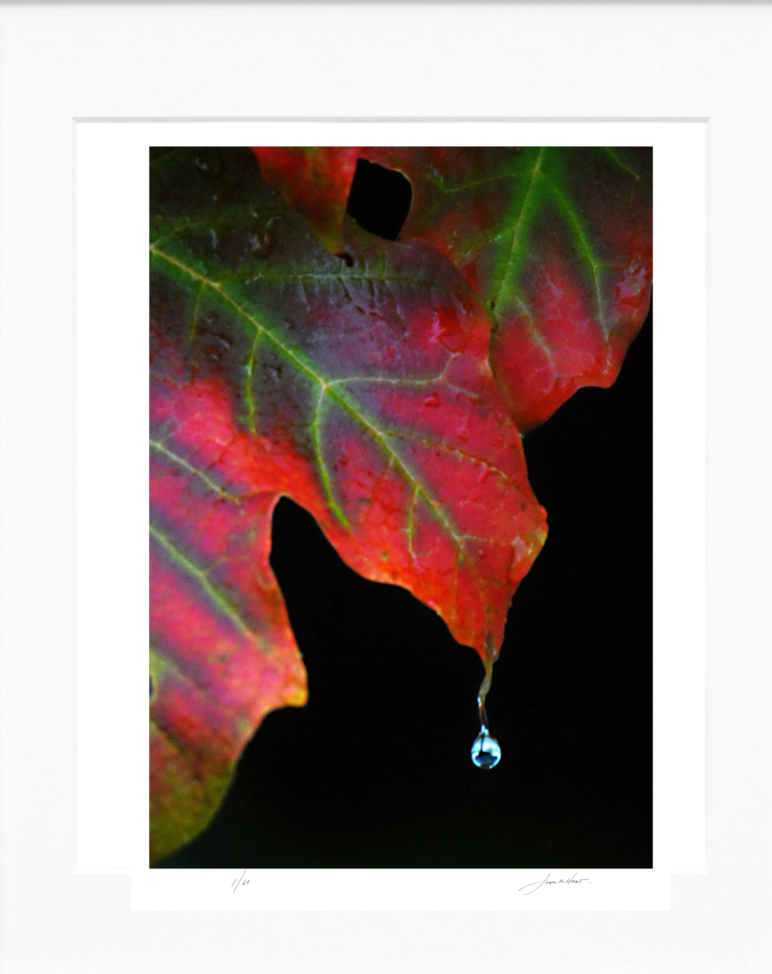 Autumn Rain mat.jpg