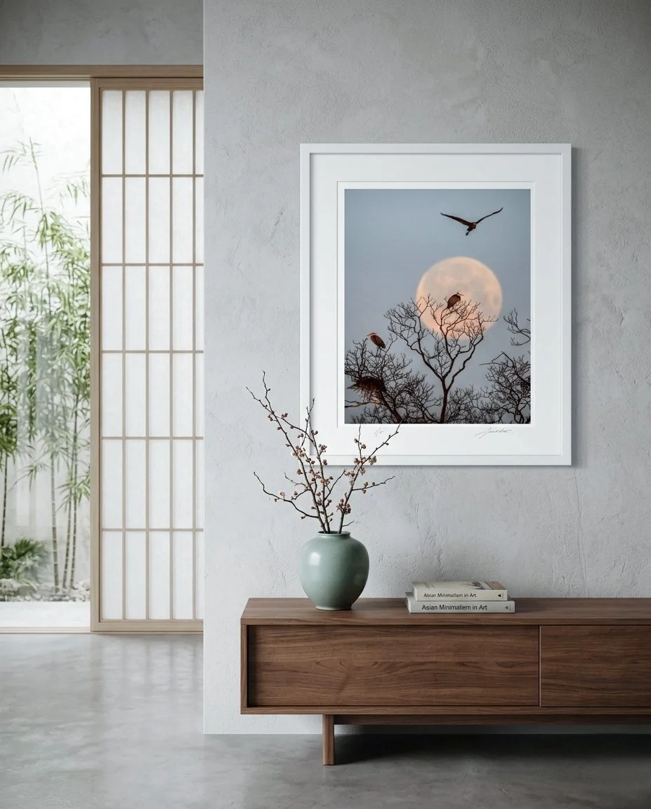 Rookery Moon room.jpg