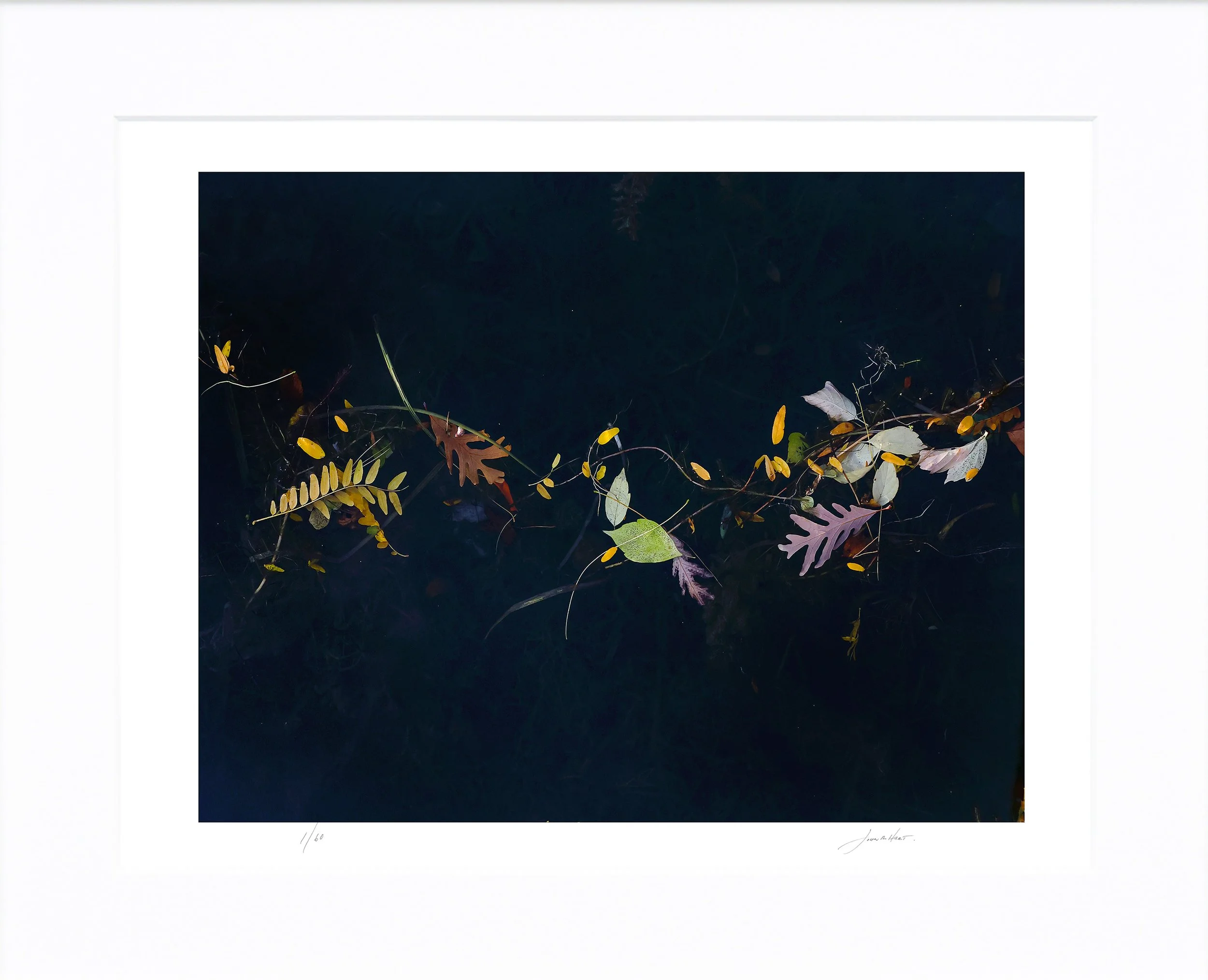 Autumn Leaves mat.jpg