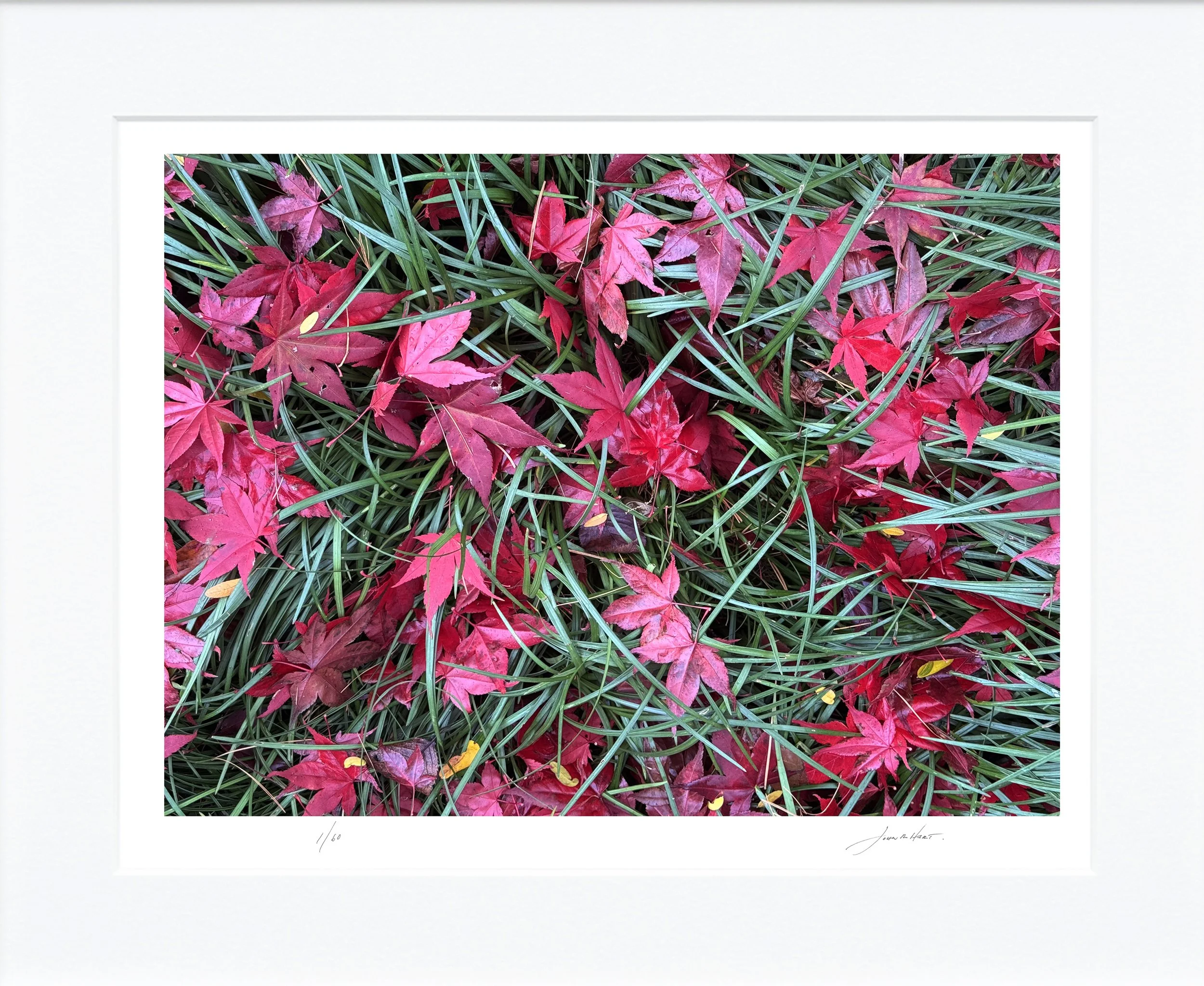 Japanese Maple Leaves mat.jpg