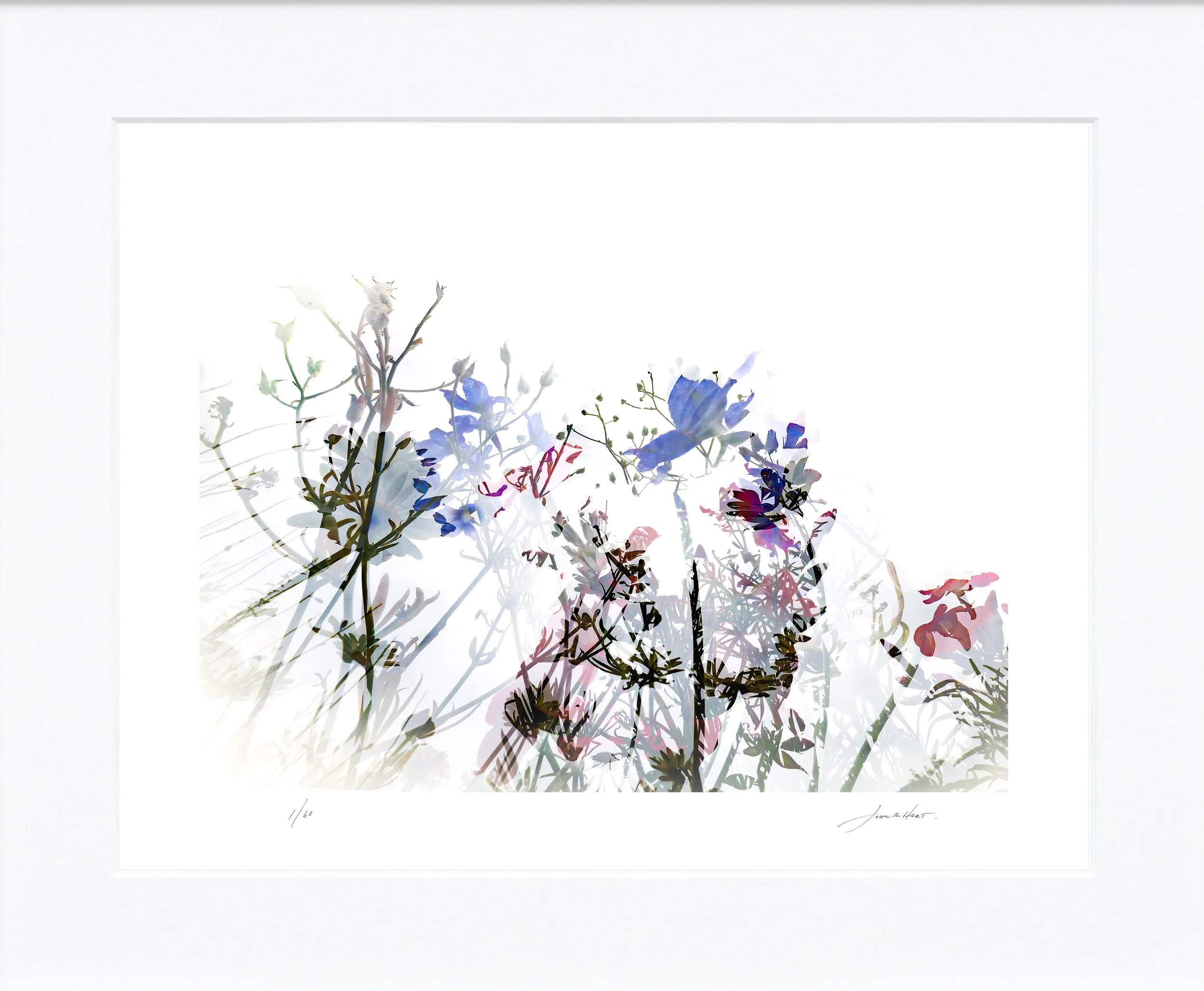 Emergence_I_sig_mat_a.jpg