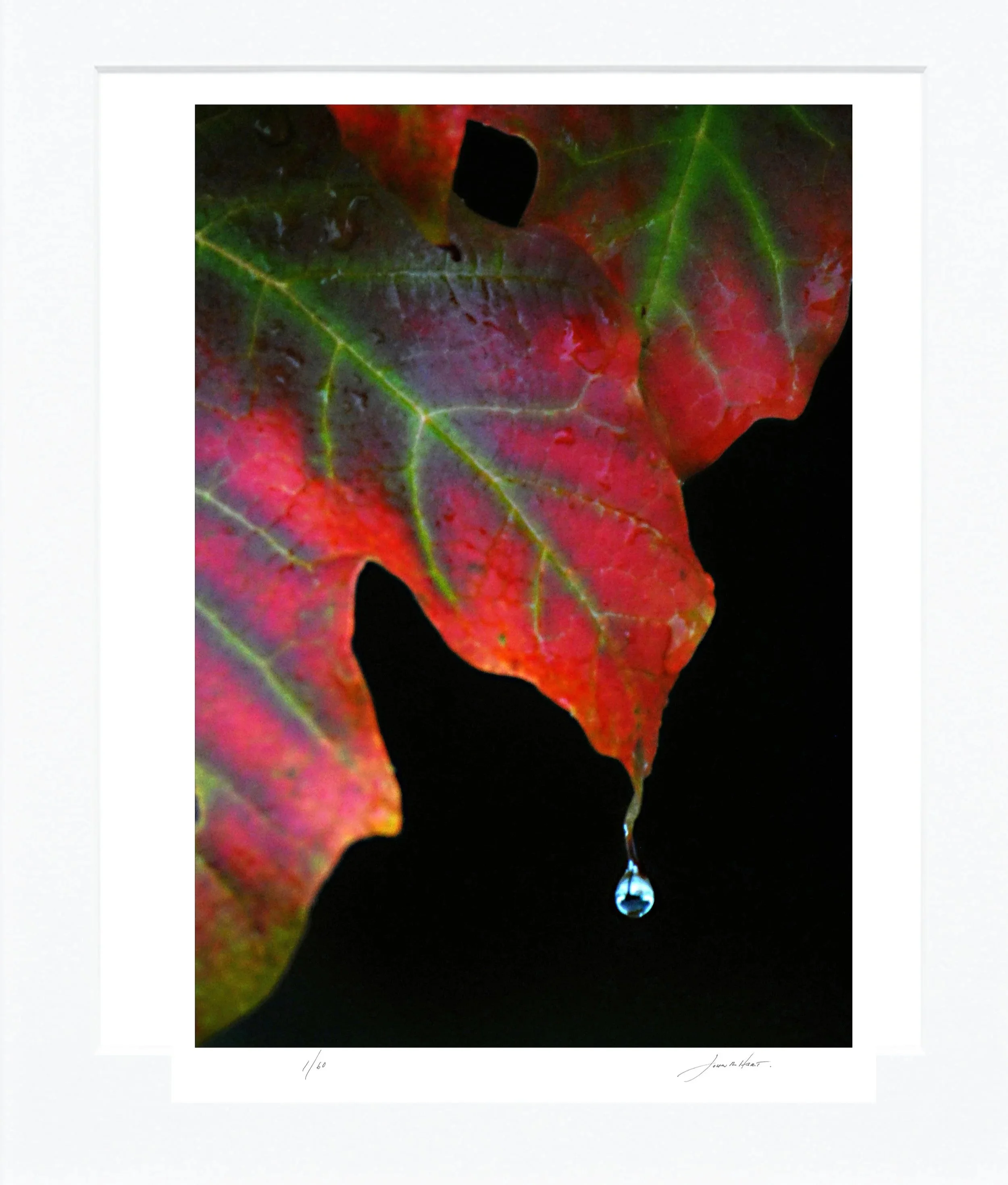 Autumn+Rain+mat.jpg