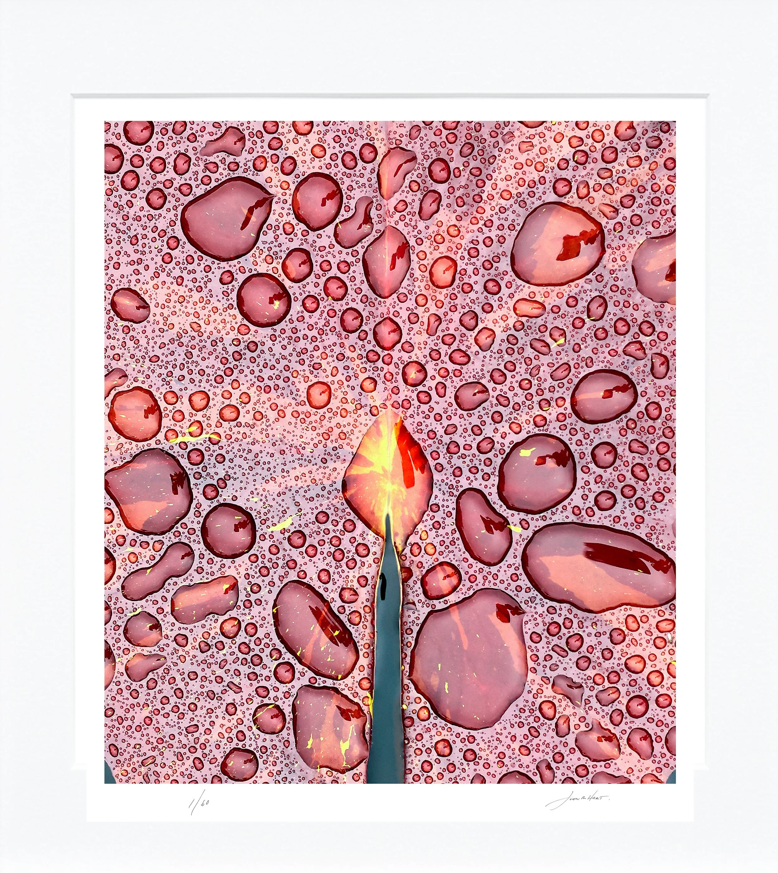 Rain Lily mat.jpg
