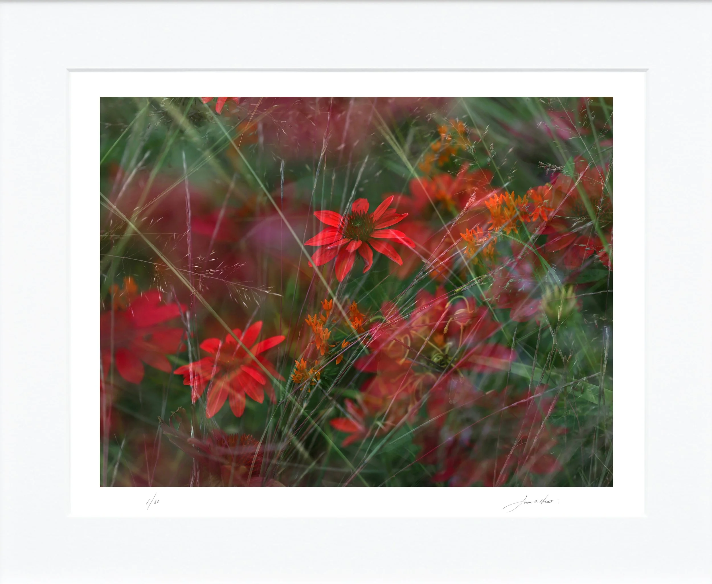 Emergence_II_sig_mat_a.jpg