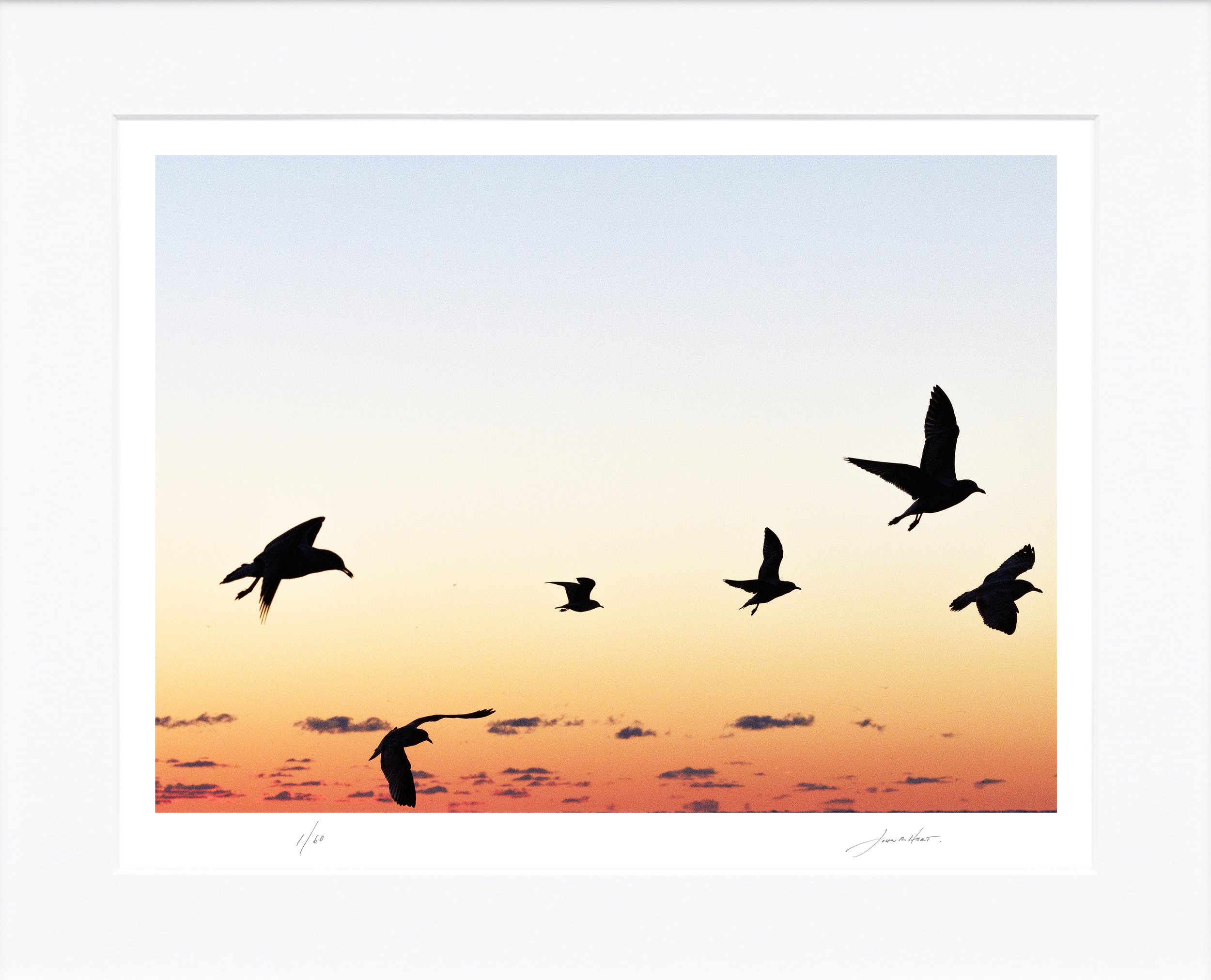 Seagulls at Dawn mat.jpg