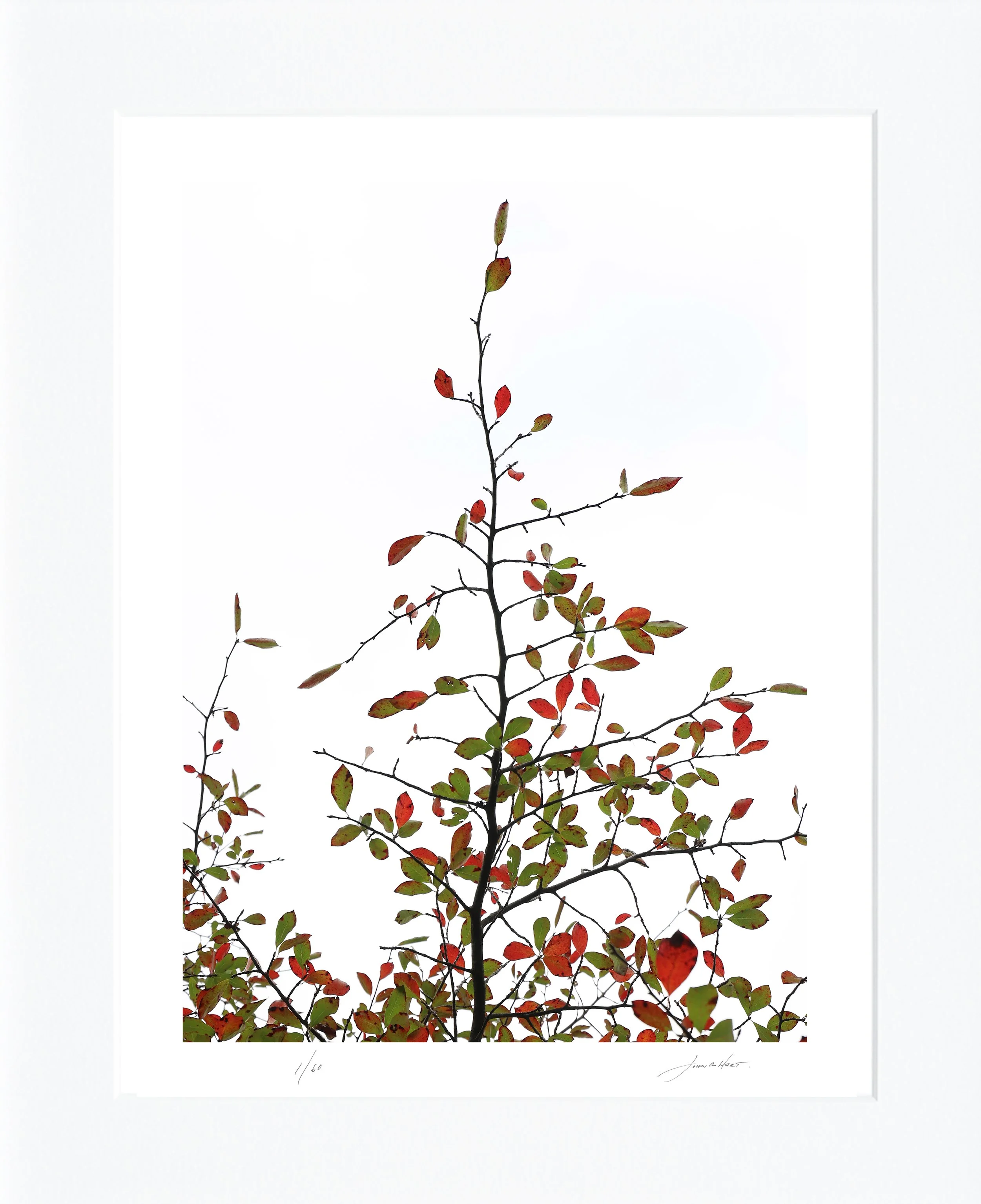 Autumn Transistion mat.jpg