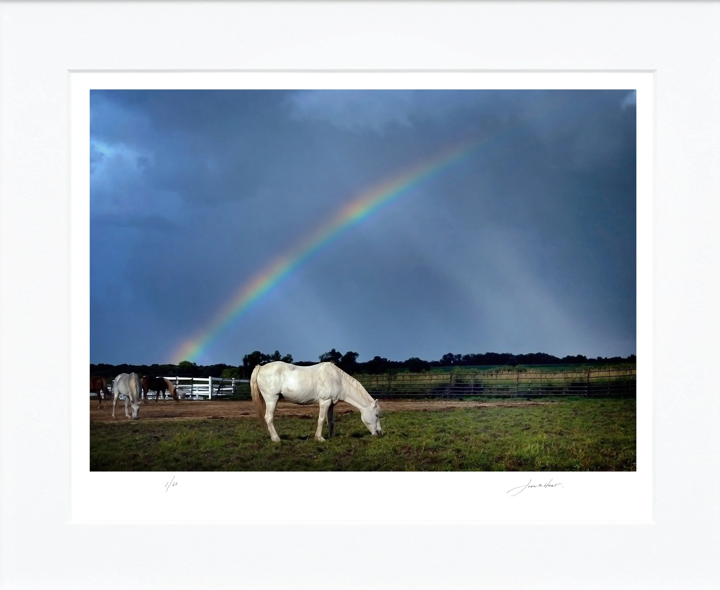 After the Rain mat.jpg