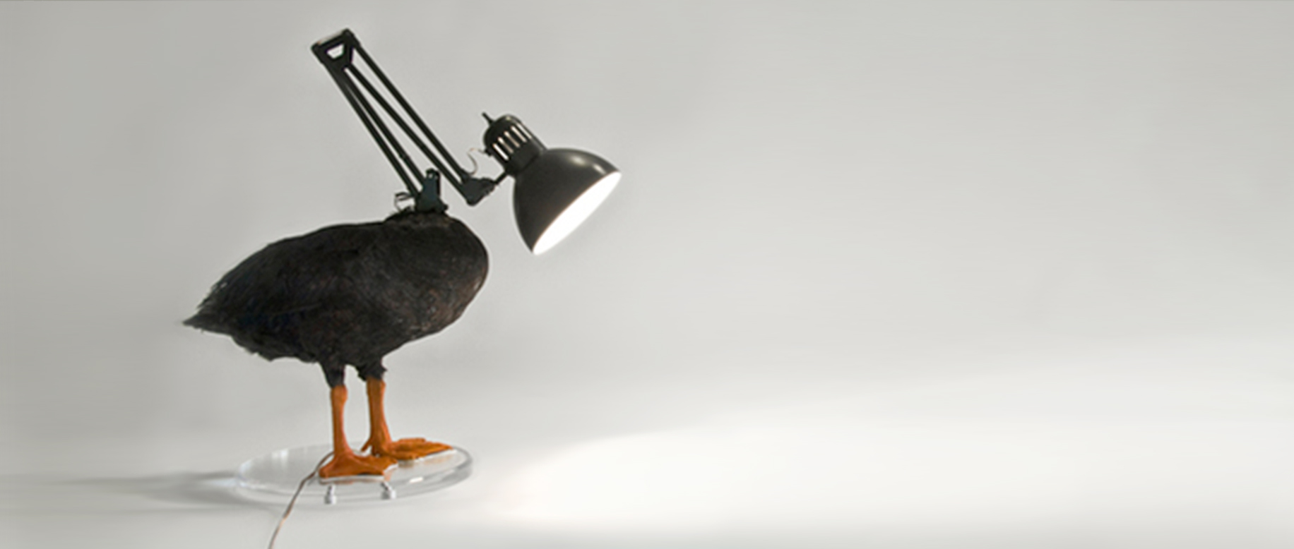 duck_lamp.jpg