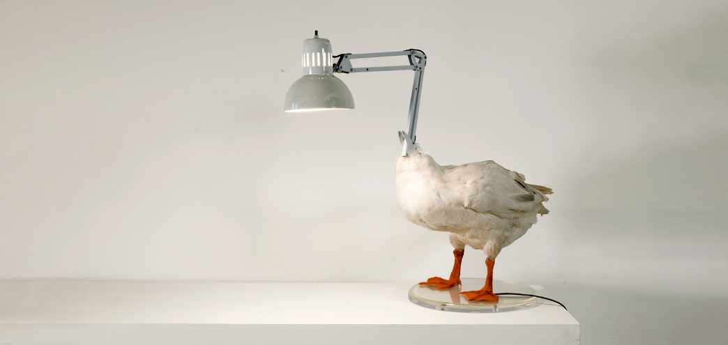 Duck lamp wide.png