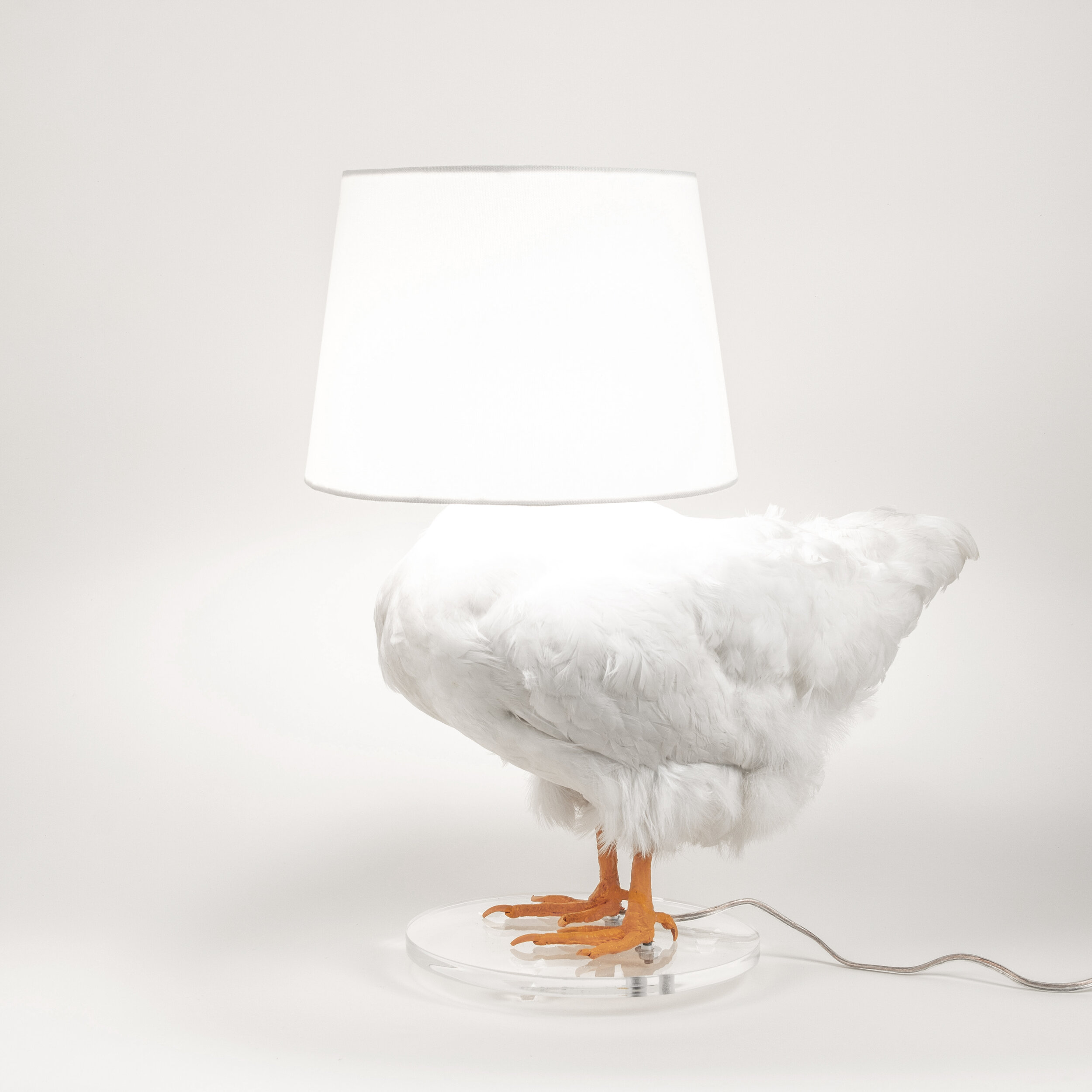 Chicken Lamp 2.jpg