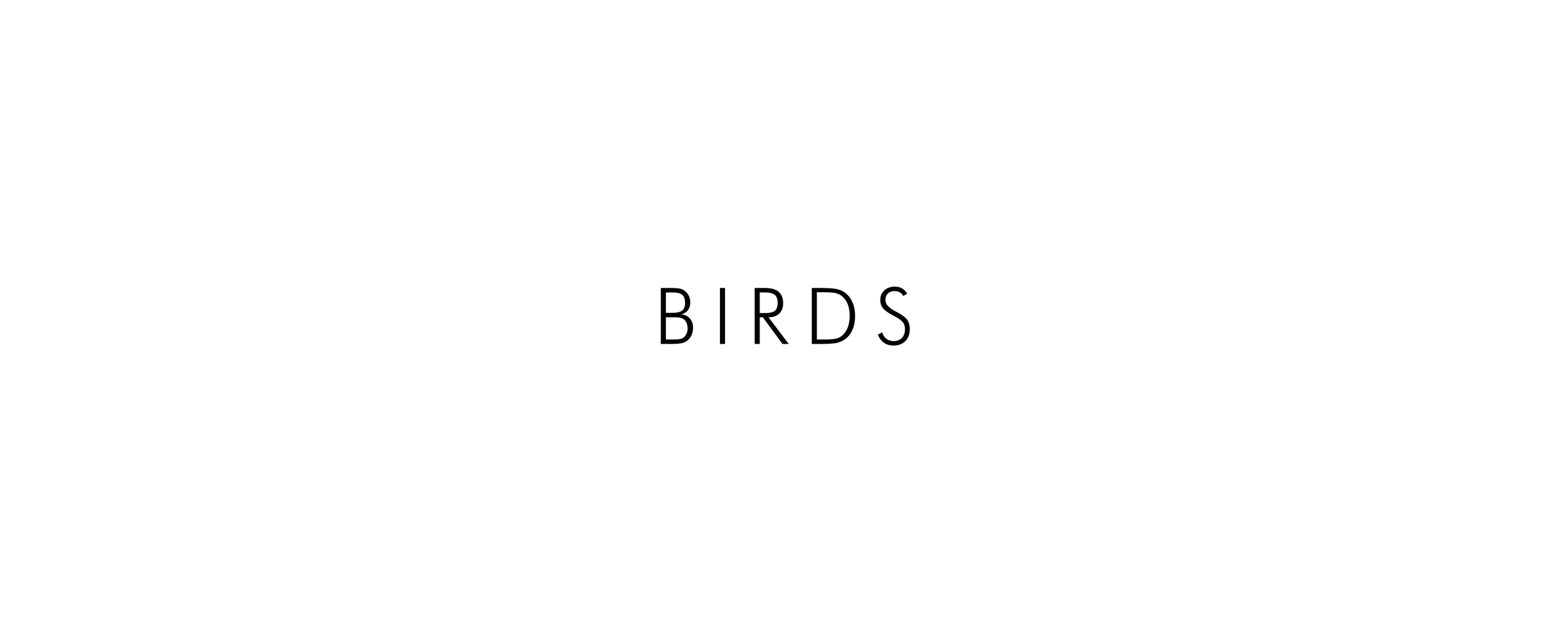 Menu_birds_light.png