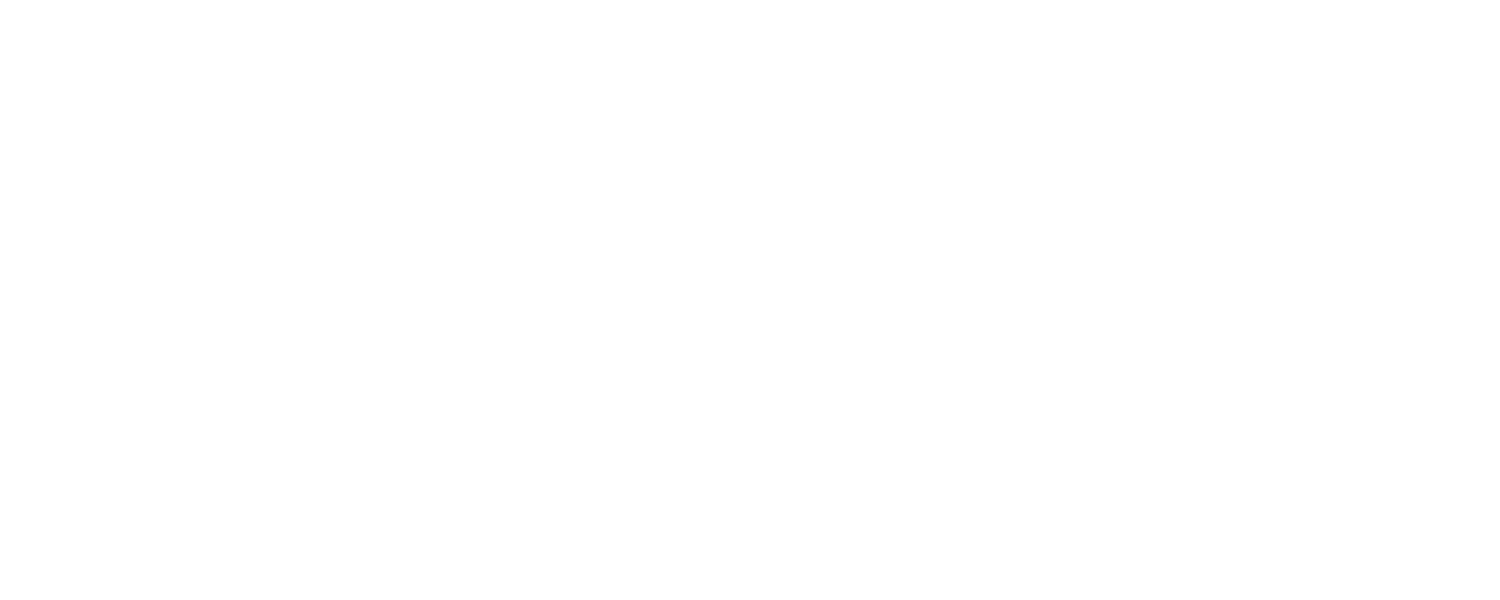 Geeky Girl Strategy