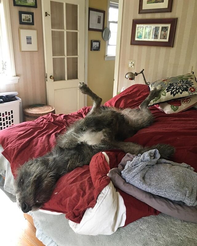 I get help folding the laundry