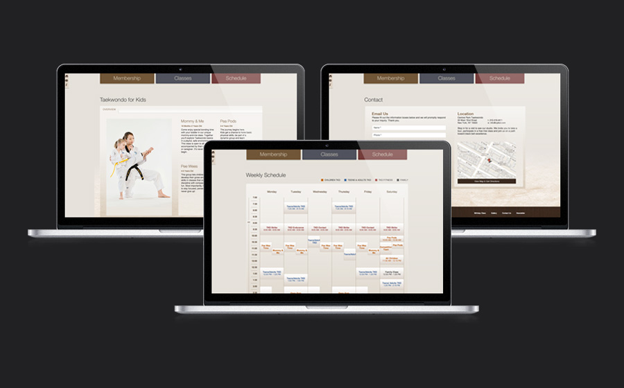 Central Park Taekwondo Website Design and Development