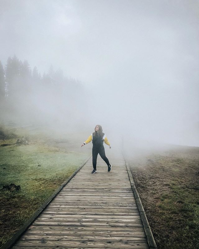 are we out of the woods yet