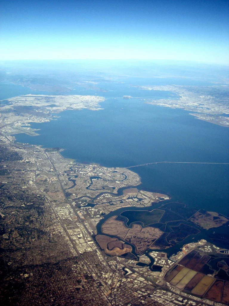 Bay Area.jpg