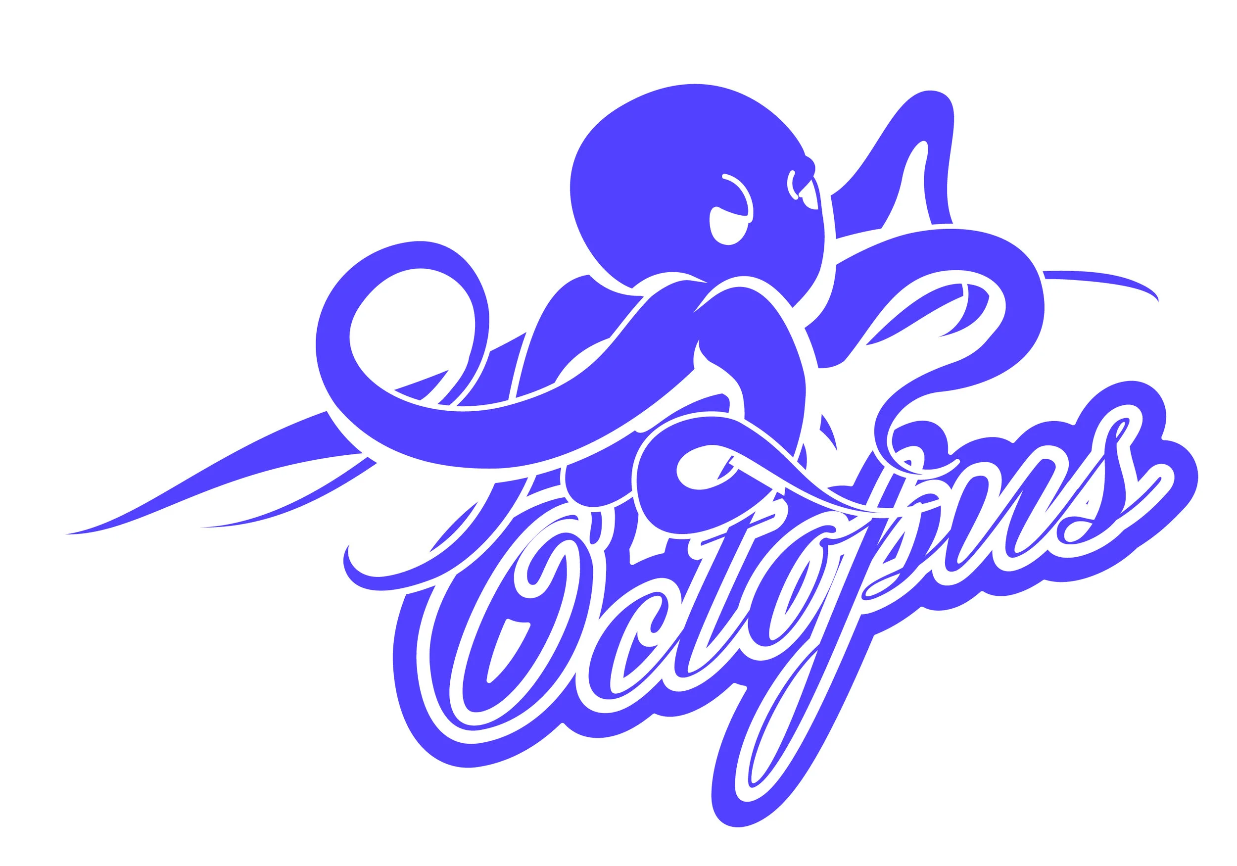 Octopus-02.jpg