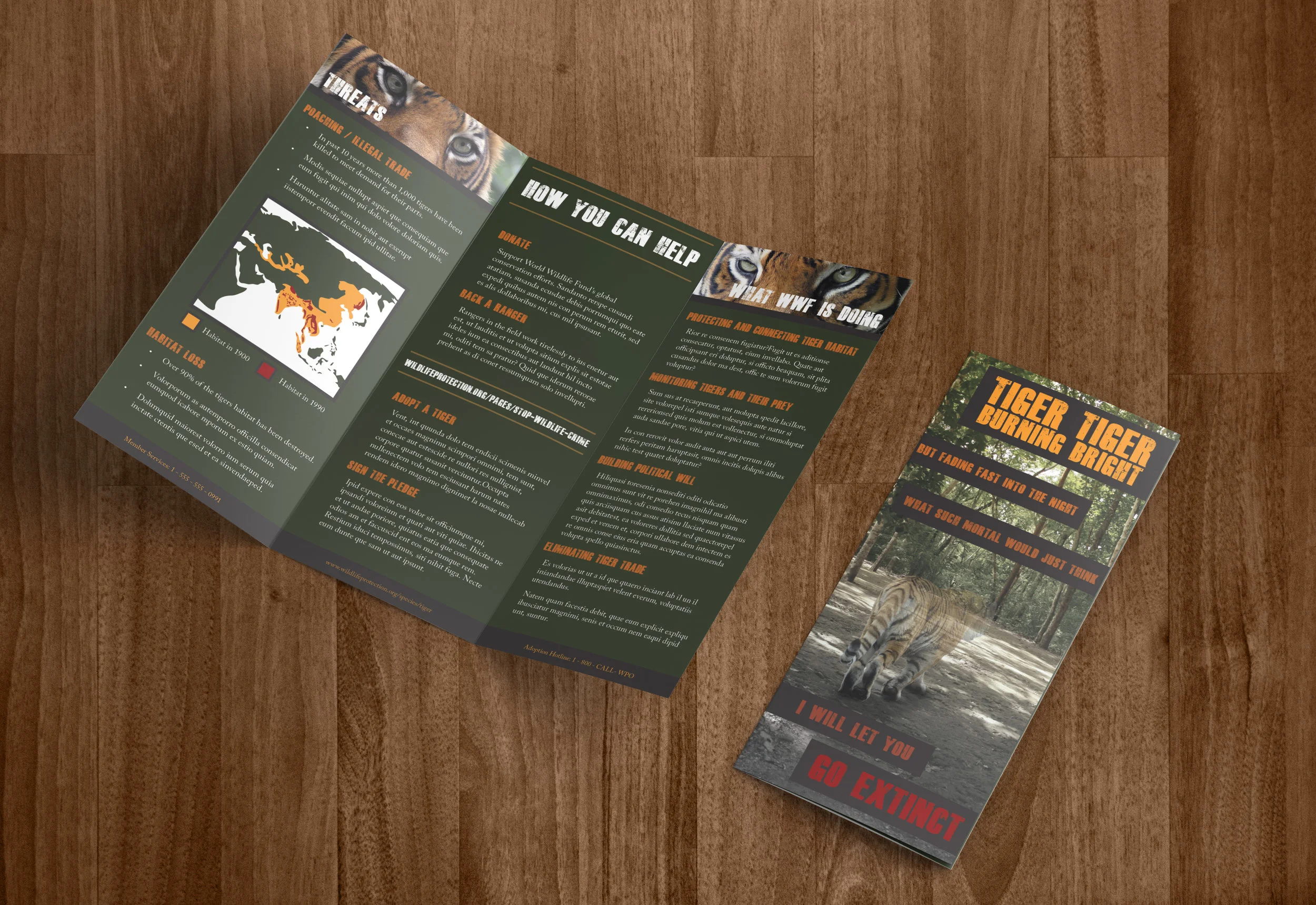 tiger-brochure.jpg