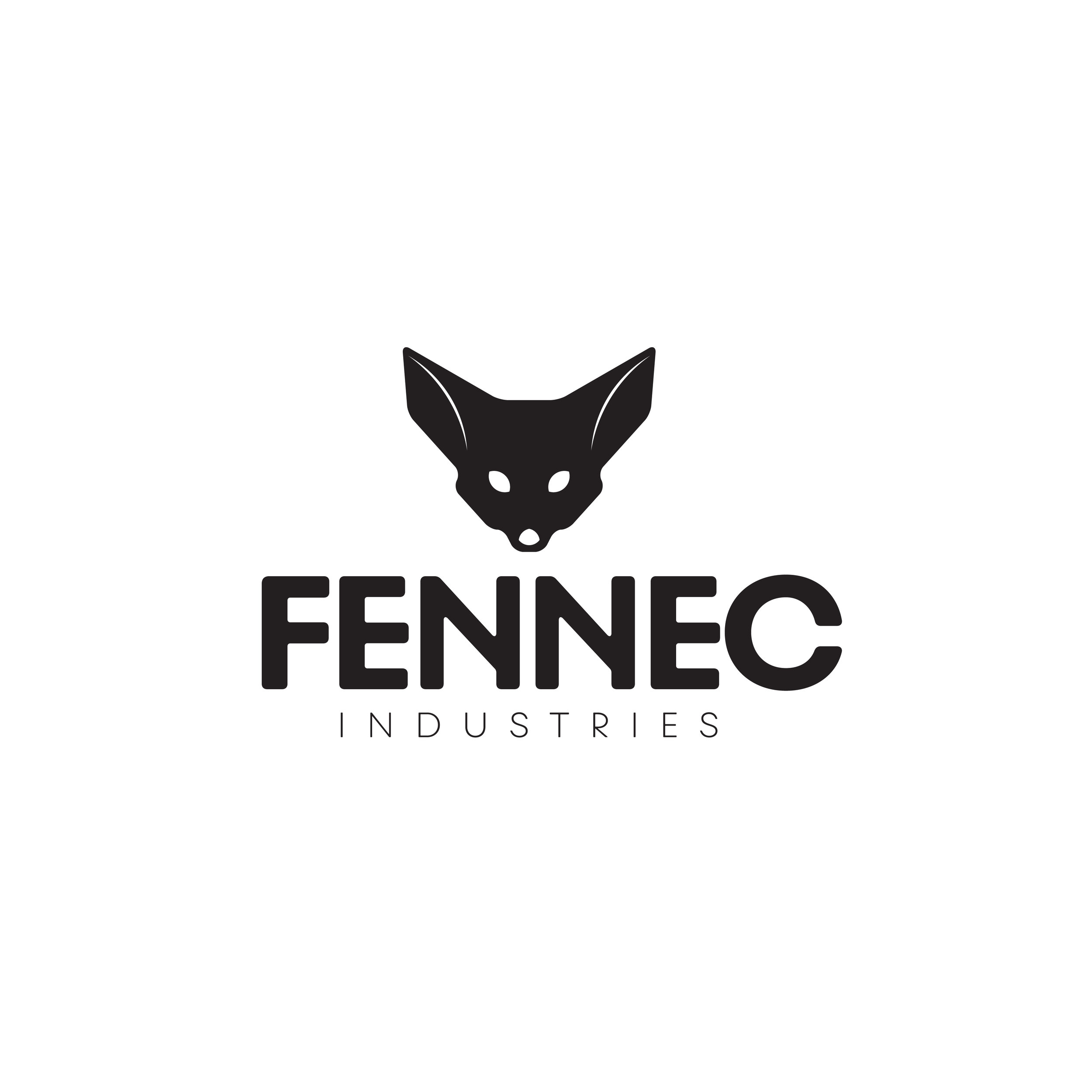 fennec-01.jpg