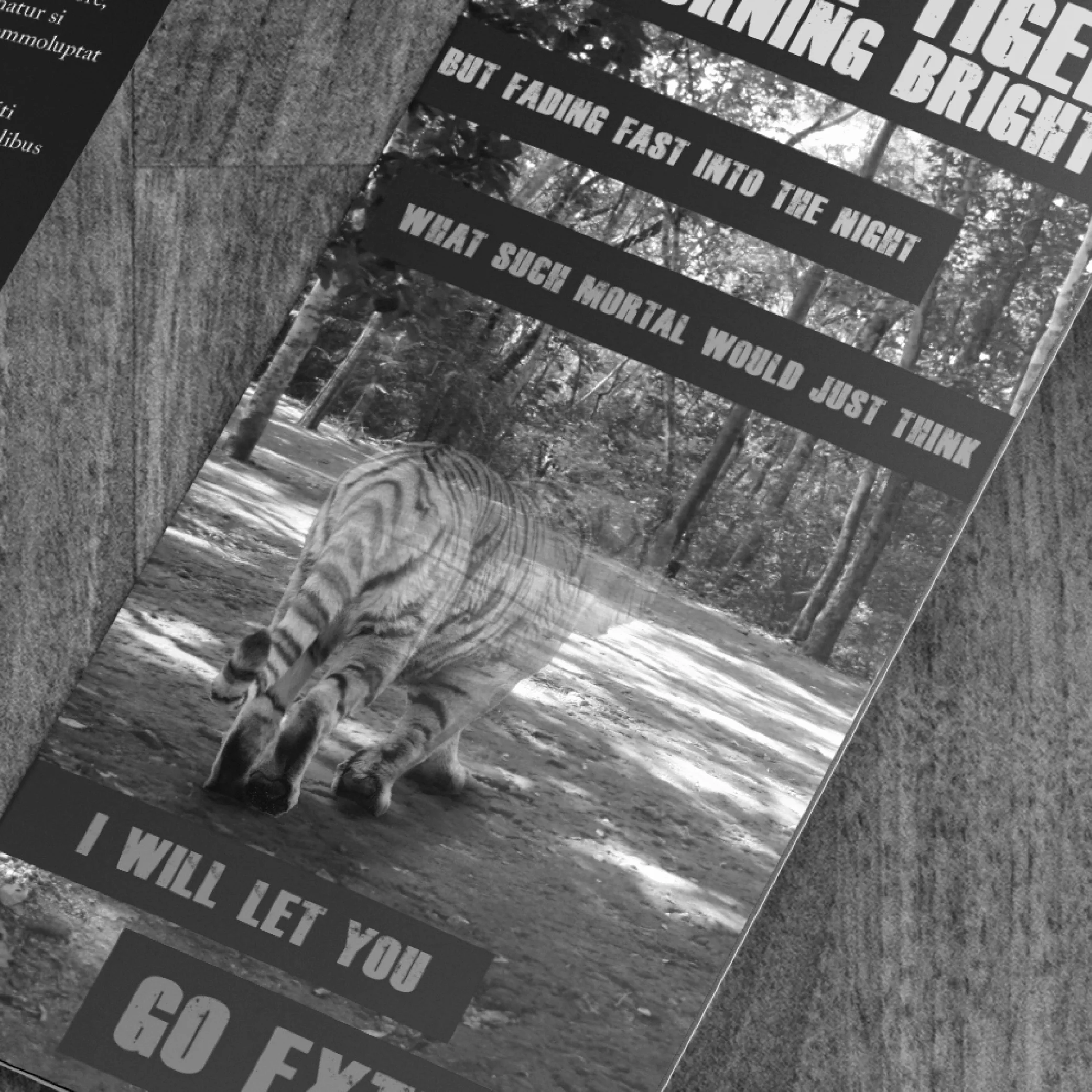 tiger-brochure-01.jpg