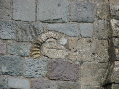 Ammonite Set in Church Wall