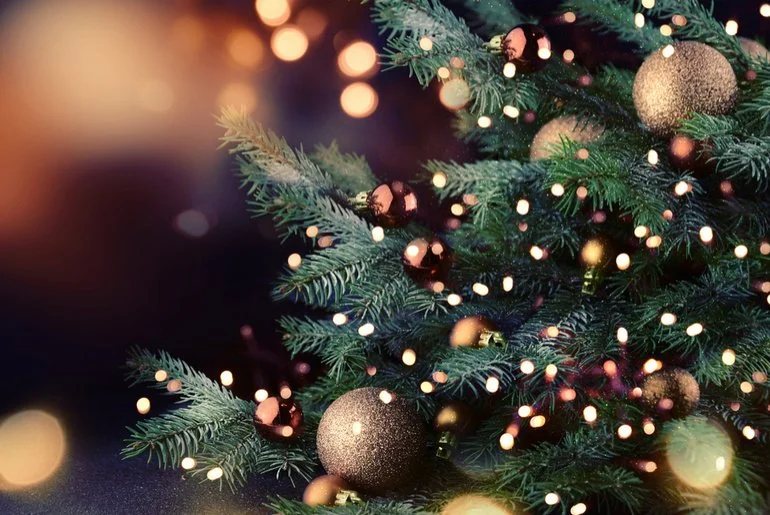 10.30am Christmas Tree Festival Service