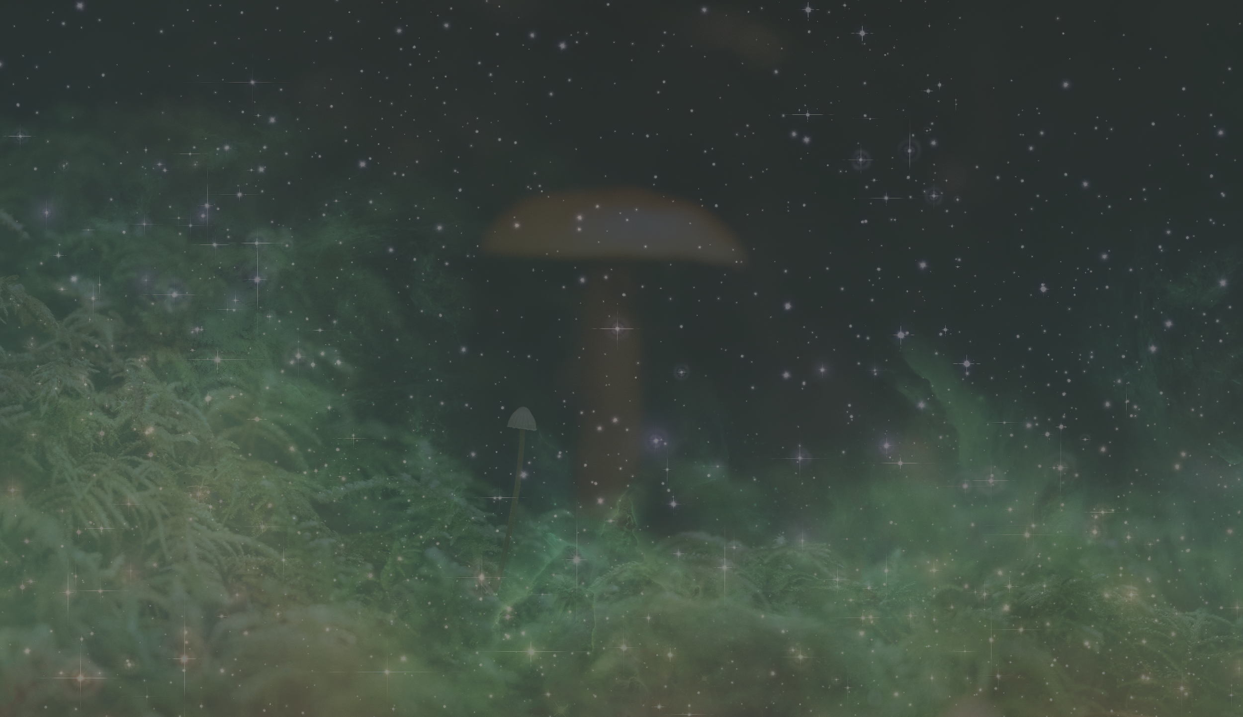 Web Header.png