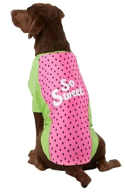 Apparel Amazon Dog Sweaters Amazon Best Dog Sweaters For Small