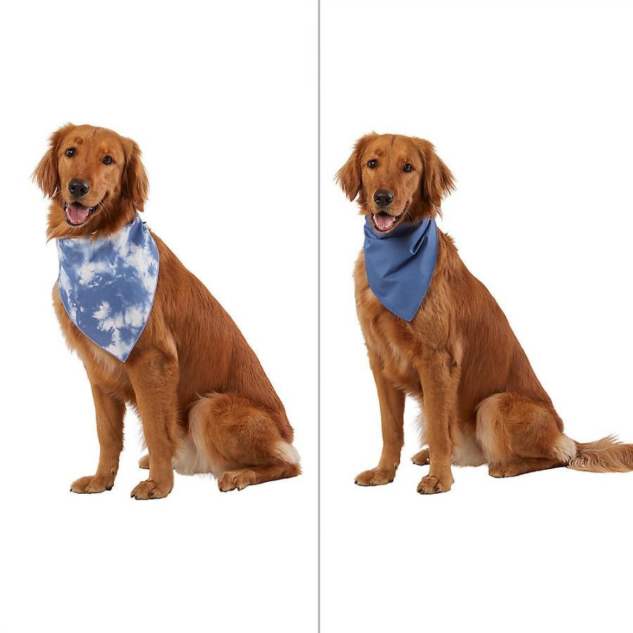 dogs-blue-tie-dye-dog-bandana-2-pack-blended-clothing-bandanas-bows-hats_1.jpg