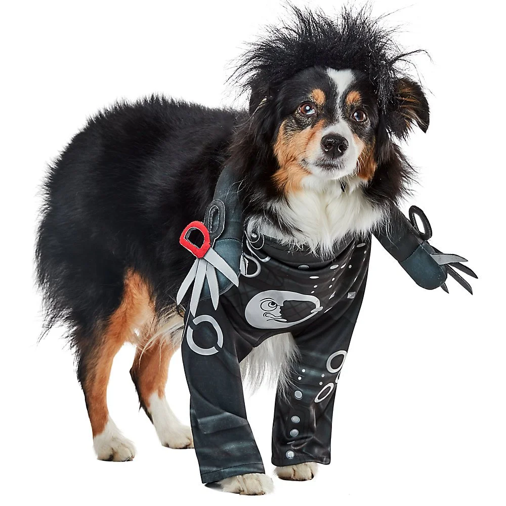Edward Scissorhands 1.jpg
