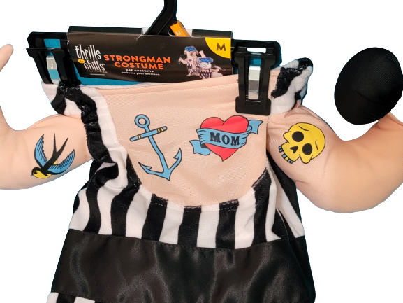 20230806_144525-preview.png