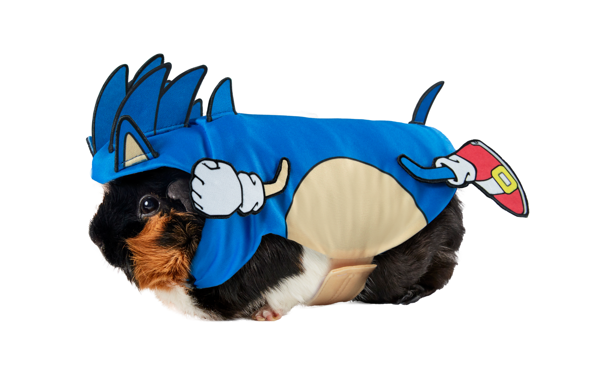 Untitled design.png
