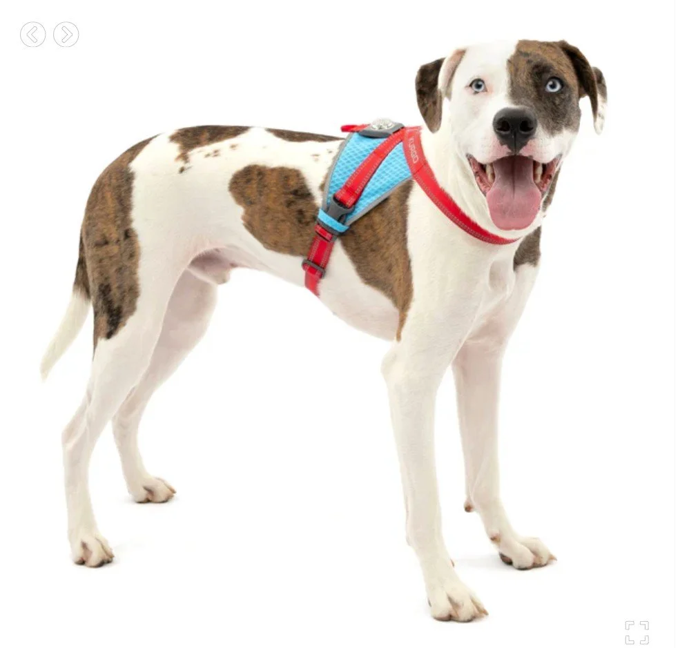 Screenshot 2025-02-07 140019.jpg