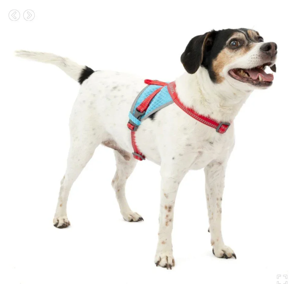 Screenshot 2025-02-07 140009.jpg