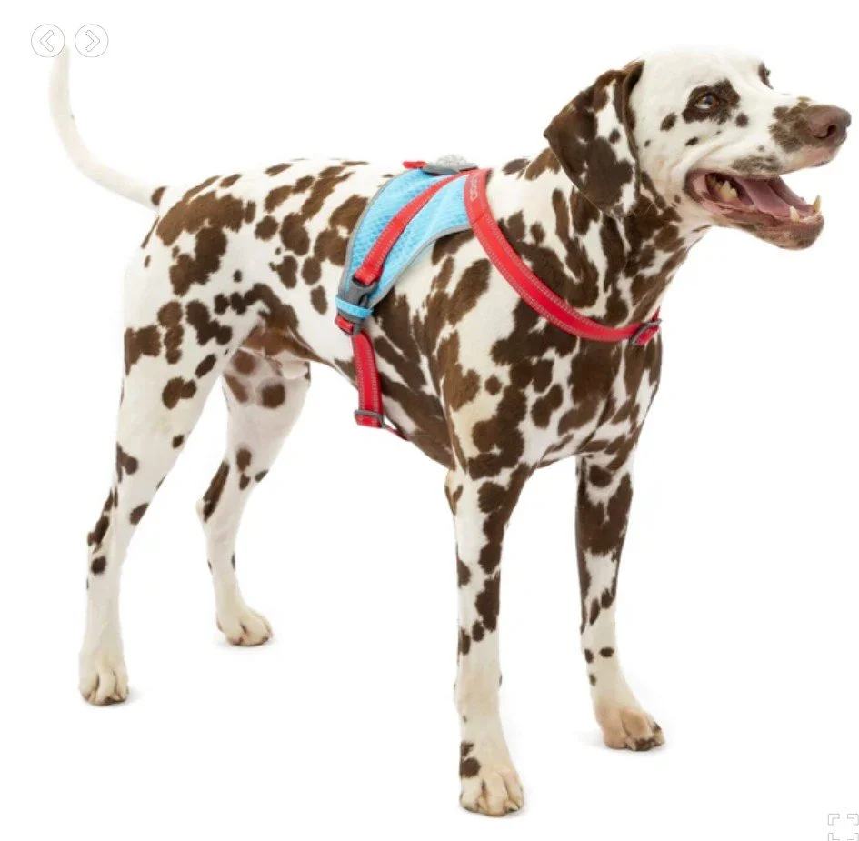 Screenshot 2025-02-07 140031.jpg