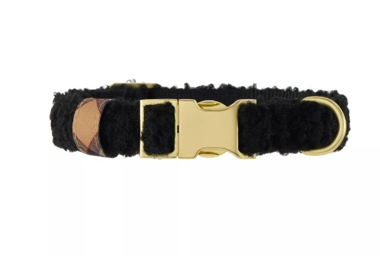 Screenshot 2025-03-02 201925.jpg