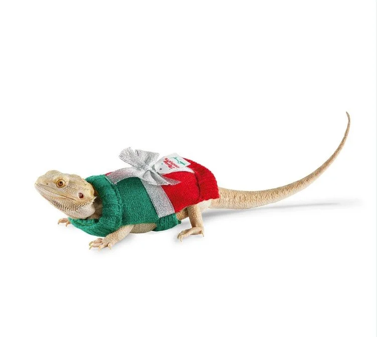 Holidat Gift Sweater 4.jpg