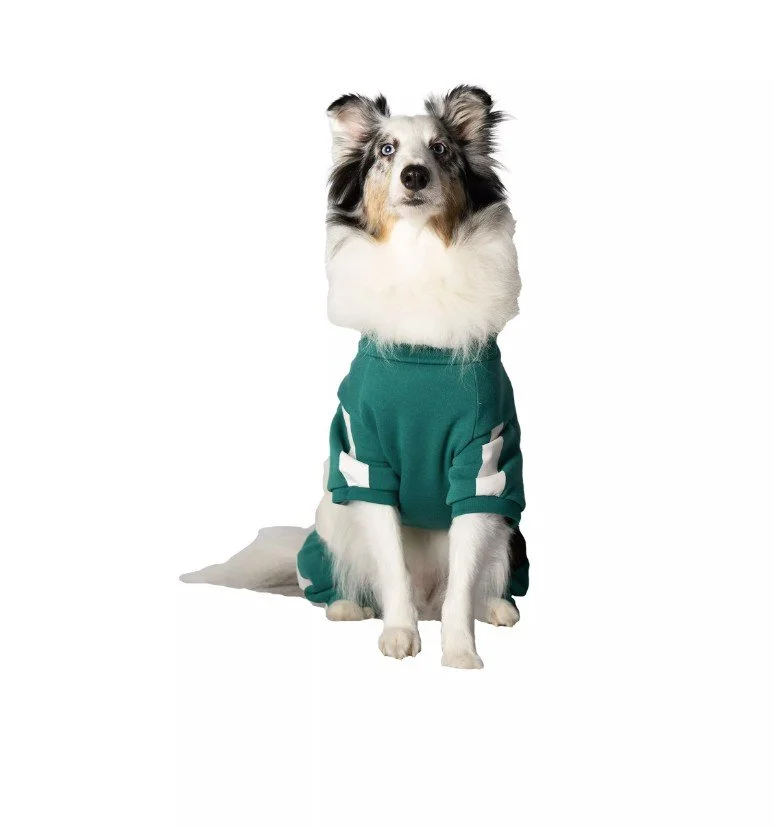 Screenshot 2025-03-02 085029.jpg