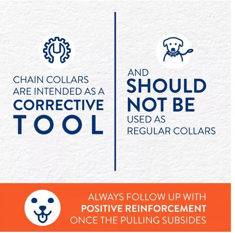 Screenshot 2025-04-28 104053.jpg